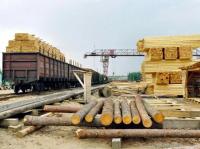 Die Swerdlowsker Behörden suchen nach Investoren zur Wiederbelebung der Holzwirtschaft 